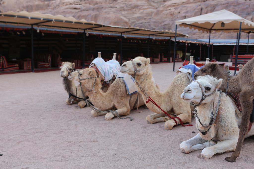 Sun City Camp Otel Ram Vadisi Dış mekan fotoğraf